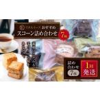 焼菓子 チョコレート リタスイーツ スコーン詰め合わせ7種