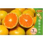 みかん 森本農園 大玉ネーブルオレンジ 約7kg