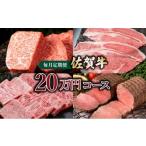 牛肉 ステーキ 佐賀牛20万円毎月定期便