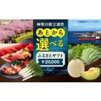 ポイント あとからセレクト ふるさと 2万円