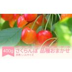 ふるさと納税 果物類 さくらんぼ 山形県 村山市 先行予約 さくらんぼ 品種おまかせ 赤秀 L‐2Lサイズ 400g バラ詰 2026年産 令和8年産 山形県産 mm-saoax400 …
