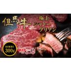 牛肉 ヒレ 〈スピード出荷〉但馬牛 黒毛和牛