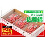 ふるさと納税 果物類 