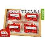 ふるさと納税 果物類 さくらんぼ 山形県 山形市 山形市産 さくらんぼ(やまがた紅王)2L 800g(200g×4) 令和8年産先行予約 FS25-026