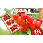ふるさと納税 果物類 