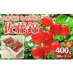 ふるさと納税 果物類 