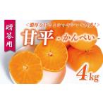 ショッピング甘平 ふるさと納税 みかん・柑橘類 愛媛県 愛南町 贈答用 甘平 4kg 15000円 みかん mikan 蜜柑 ミカン かんぺい 高級 人気 ブランド プレミアム 産地直送 国産 農家…