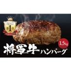 ショッピングふるさと納税 ハンバーグ ふるさと納税 牛肉 ハンバーグ 岡山県 津山市  将軍牛 特選ハンバーグ 1.5kg 150g×10個 数量限定_ハンバーグ 将軍牛 1.5kg 10個入り 和牛 牛 牛肉 お肉 数量…
