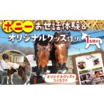 体験チケット ポニーお世話体験&オリジナルグッズ作り