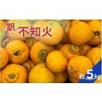 ふるさと納税 みかん・柑橘類 デコポン 和歌山県 かつらぎ町  訳あり ちょこっと訳あり不知火 約5kg ご家庭用 2026年2月中旬〜4月中旬ごろ順次発送予定（お届…