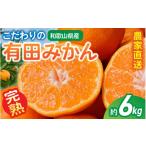 こだわりの有田みかん 約6kg+150g