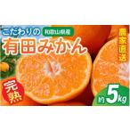 こだわりの有田みかん 約5kg+150g