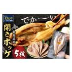 ふるさと納税 干物 ホッケ 北海道 北見市  2025年12月中お届け 北海道産 なまらでかい 開きホッケ 5枚セット ( ほっけ 海鮮 魚 冷凍 ふるさと納税 真空パック …