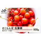 ふるさと納税 果物類 