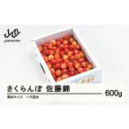 ふるさと納税 果物類 