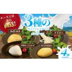 燻製 チーズ モッツァレラ 3種+ チギチー