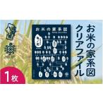 ふるさと納税 文房具・玩具 山形県 庄内町 山形庄内かめこめプロジェクト お米の家系図 クリアファイル A4 1枚 オリジナル グッズ 文房具