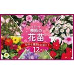 ふるさと納税 雑貨・日用品 苗木 神奈川県 藤沢市 季