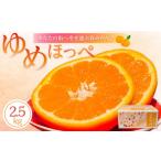 みかん 柑橘類 からあなたの街へ幸せ運ぶ春みかん 2.5kg