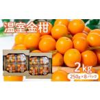 みかん 柑橘類 2026年発送 温室金柑 1kg