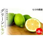 安心のグリーンレモン9kg 予定