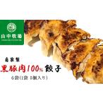 餃子 自家製黒豚肉100%餃子 山中牧場: 6袋
