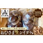 fu.... налог овощи вид .. . префектура Kanagawa город Yokohama . остров сельское хозяйство ..... сырой шиитаке 500g ввод пакет ×2 пакет комплект 10 месяц последняя декада из отправка 