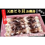 ふるさと納税 魚貝類 愛知県 南知多町 訳あり とり貝 お刺身 中9枚 6セット 下処理済 冷凍 刺身 天然 魚介 貝 セット 海鮮 天然 ふるさと納税貝 簡単 おかず …