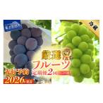 ふるさと納税 ぶどう マスカット 山梨県 富士吉田市  チョイス限定 2026年発送 先行予約 2回定期便 厳選 旬のフルーツ定期便（黒ぶどう1kg以上・シャインマス…