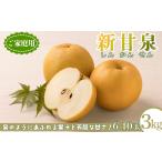 梨 2027年発送分先行受付 新甘泉 3kg