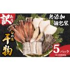 干物 訳あり 干物セット 5パック