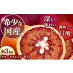 みかん 柑橘類 オレンジ ブラッドオレンジ