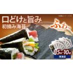魚貝類のり 初摘み新海苔 焼海苔10袋セット