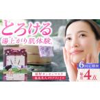 化粧水 乳液 美容液 クリーム 6回定期便 嬉野オンセンマスク