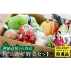 高原の畑から直送 神鍋高原 季節の新鮮お野菜