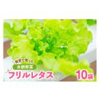 野菜類 中 フリルレタス 10袋