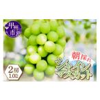 ふるさと納税 ぶどう マスカット 山梨県 甲州市 感謝を込めて最高の朝採りシャインマスカットをお贈りします 1.0kg以上（2房） 2026年発送 （LMS）B-416 2026…
