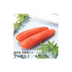 魚貝類 明太子 化粧箱入 辛子明太子 一本物 240g