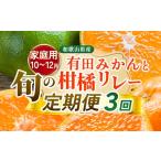 果物類 みかん 定期便 柑橘定期便 3回 10~12月