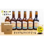 ビール 地ビール クラフトビール 飲み比べ 12本