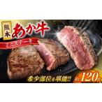 牛肉 ステーキ 令和8年熊本地震復興支援
