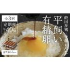 卵 鶏 烏骨鶏等 平飼い有精卵40個 省資源トレー
