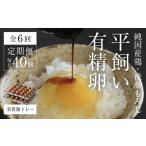 卵 鶏 烏骨鶏等 平飼い有精卵40個 省資源トレー