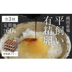 卵 鶏 烏骨鶏等 平飼い有精卵60個 省資源トレー