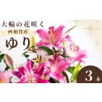花 11月30日迄 高原ふれあい産直 西和賀