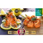 ふるさと納税 魚貝類 サーモン 広島県 大竹市 国産サーモン 詰め合わせセットF 約1.2kg 切り落とし (80g×10P)+スモークサーモン (40g×10P) 小分け 広島レモ…