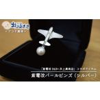 アクセサリー 紫電改 パール ピンズ シルバー