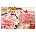 豚肉 望来豚 ウデ肉切り落とし500g ひき肉500g 合計1kg