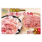 豚肉 望来豚 ウデ肉切り落とし500g×2