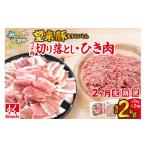 豚肉 定期便 望来豚 ウデ肉切り落とし500g